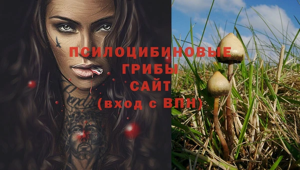ешки Богданович