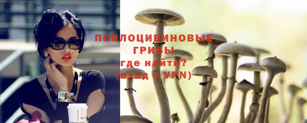 ешки Богданович