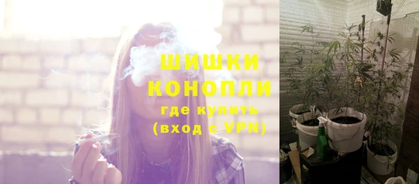 ешки Богданович
