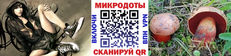Псилоцибиновые грибы Psilocybine cubensis  Дмитровск 